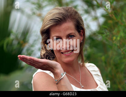 RHS Hampton Court Palace Flower Show 2013 Banque D'Images