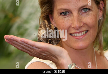 RHS Hampton Court Palace Flower Show 2013 Banque D'Images