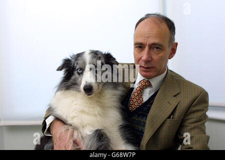 Peter Conradi, auteur d''Iris Murdoch : A Life' avec son Blue Eyed Collie, nuageux, qui a servi de modèle pour le chien 'Anax' dans Murdoch's roman 'Le Chevalier vert' (1993), à son domicile dans le sud ouest de Londres. Banque D'Images