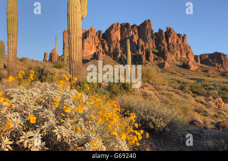 Fer à Repasser, Télévision Pic du désert de l'Arizona Montagnes Superstition Banque D'Images