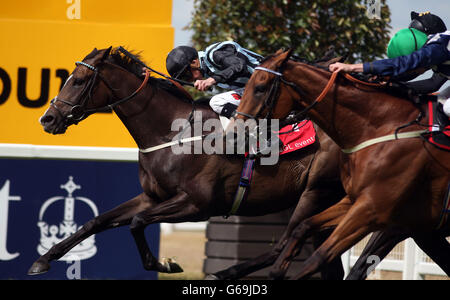 L'évêque Roko, monté par James Doyle (à gauche), remporte les compétitions GL Owen Brown handicap mises au cours du troisième jour du week-end de Betfair 2013 à l'hippodrome d'Ascot, Berkshire. Banque D'Images