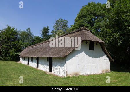 Lyngby, Danemark - 23 juin 2016 : une ancienne ferme à colombages danois avec toit de paille en Frilands Museum. Banque D'Images