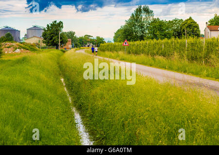 Deux gars le long du canal d'irrigation dans les champs de la campagne italienne Banque D'Images