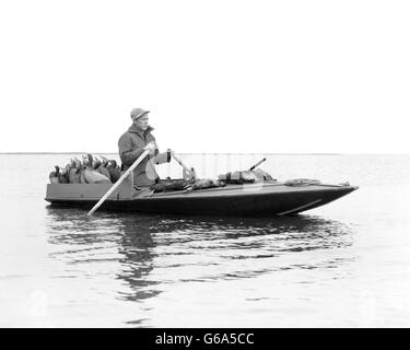 Années 1950, l'homme CHASSEUR DE CANARD CANARD LEURRES BATEAU AVIRON SUR LA PLATE-FORME ARRIÈRE ET TUÉ DES CANARDS AU BARNEGAT BAY AVANT NJ USA Banque D'Images