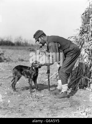 1930 MAN HUNTER AVEC FUSIL EN CHAMP DE MAÏS EN TENANT DES OISEAUX chien Setter Irlandais Banque D'Images