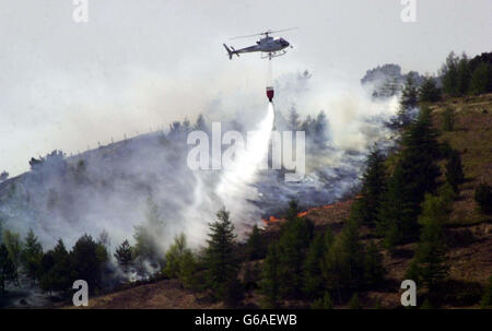 Un hélicoptère déversant de l'eau sur le feu de forêt dans la région de Wattsville, dans le sud du pays de Galles. Plus de 100 pompiers se sont toujours attaqués à l'incendie qui a détruit des centaines d'arbres matures à Gsent, au sud du pays de Galles. *... Les équipes de la brigade des pompiers du sud du pays de Galles combattaient l'incendie sur un front de trois kilomètres entre Cwmfelinfach et l'A467 à Wattsville. Banque D'Images