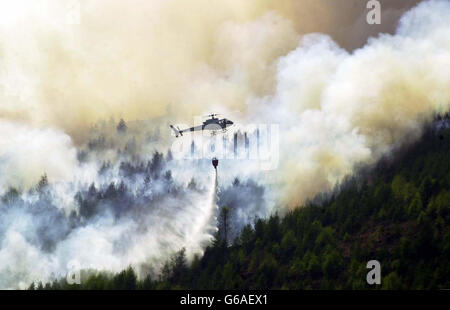 Gwent forest fire Banque D'Images