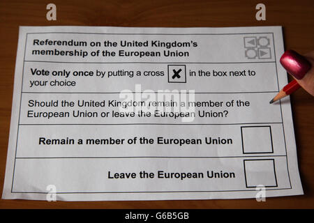 , Harringay le nord de Londres, Royaume-Uni. 23 Juin, 2016. Une personne avec un bulletin de vote dans l'UE du référendum. Credit : Dinendra Haria/Alamy Live News Banque D'Images