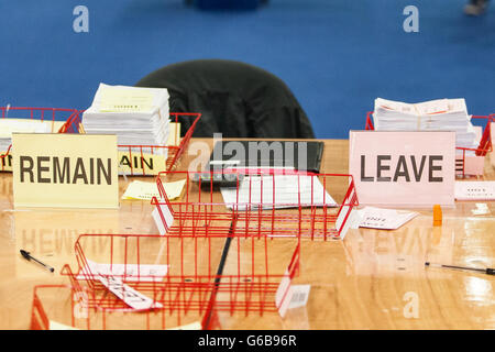 Belfast, Royaume-Uni. 24 Juin, 2016. Laissez rester les bulletins après le référendum de l'Union européenne à compter de crédit Belfast : Bonzo/Alamy Live News Banque D'Images