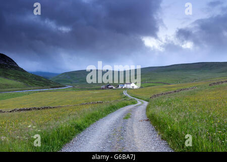 La région de Teesdale, County Durham, Angleterre nord-est. 24 Juin, 2016. Météo britannique. Au cours de la construction de nuages au nord des Pennines collines environnantes Widdybank Farm dans la région de Teesdale le jour où les électeurs britanniques décidé par une faible marge de quitter l'Union européenne. Crédit : David Forster/Alamy Live News Banque D'Images