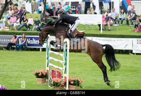 Le Lincolnshire, au Royaume-Uni. 23 Juin, 2016. Gratuites, JCB Diggers Danse, saut à cheval, oiseaux de proie, les meilleures races de chevaux et de charrettes, cascades, d'affichage, de vélos et de l'artisanat traditionnel, présentoirs de vente une partie de l'attraction de cette années pour les visiteurs de profiter se terminant le spectacle avec le rapport annuel de jeunes agriculteurs et de l'eau fleurs branches bataille . Credit : Clifford Norton/Alamy Live News Banque D'Images