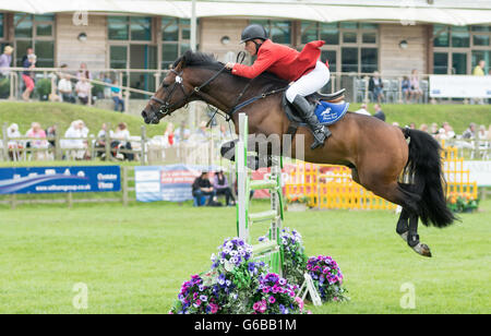 Le Lincolnshire, au Royaume-Uni. 23 Juin, 2016. Gratuites, JCB Diggers Danse, saut à cheval, oiseaux de proie, les meilleures races de chevaux et de charrettes, cascades, d'affichage, de vélos et de l'artisanat traditionnel, présentoirs de vente une partie de l'attraction de cette années pour les visiteurs de profiter se terminant le spectacle avec le rapport annuel de jeunes agriculteurs et de l'eau fleurs branches bataille . Credit : Clifford Norton/Alamy Live News Banque D'Images