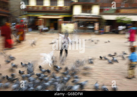 Katmandou, Népal. 24 Juin, 2016. Enfants népalais jouer avec les pigeons à l'intérieur du stupa de Boudhanath, Site du patrimoine mondial de l'UNESCO qui est actuellement en cours de reconstruction après le séisme de l'an dernier à Katmandou (Népal) le vendredi 24 juin, 2016. © Skanda Gautam/ZUMA/Alamy Fil Live News Banque D'Images