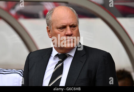 Football - Barclays Premier League - Sunderland / Fulham - Stade de lumière. Martin Jol, directeur de Fulham Banque D'Images