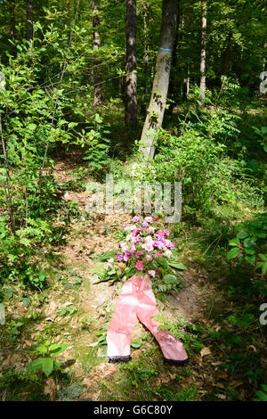 Cimetière des forêts ( cemetery urn normale places sous les arbres ) : nouvelle tombe, Bad Teinach-Zavelstein, Allemagne, Bade-Wurtemberg, Banque D'Images