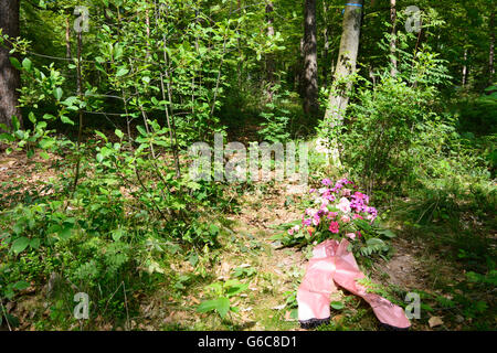 Cimetière des forêts ( cemetery urn normale places sous les arbres ) : nouvelle tombe, Bad Teinach-Zavelstein, Allemagne, Bade-Wurtemberg, Banque D'Images