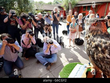 Peser dans Zoo Banque D'Images