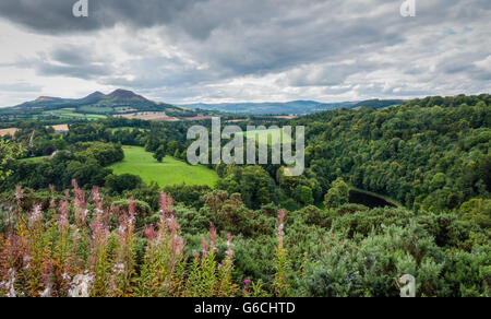 Scott's View dans la région des Scottish Borders, Scotland Banque D'Images