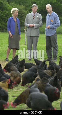 Prince de Galles - Abbey Home Farm Banque D'Images