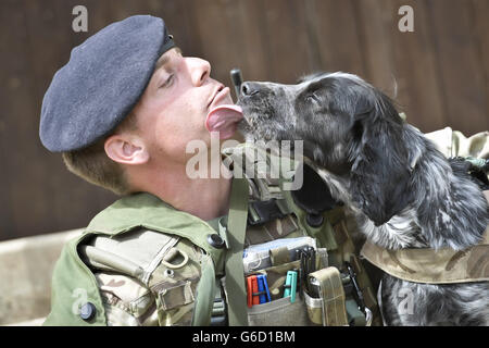 Le chien de travail militaire Quin, un épagneul cocker de sept ans, s'enfile dans un baiser effronté par son maître, le caporal Stu Downer, 1 chien de travail militaire, 30 ans, de Kent, alors qu'il prend une pause de son entraînement dans la plaine de Salisbury alors que la 7e Brigade blindée se prépare à se déployer en Afghanistan dans le cadre de l'opération Herrick 19. Banque D'Images