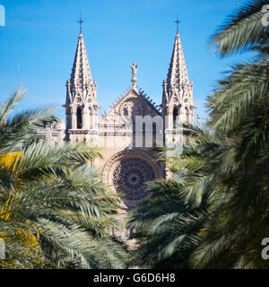 Vue sur place de la rose et ses flèches sur la cathédrale de Palma, Majorque. Banque D'Images