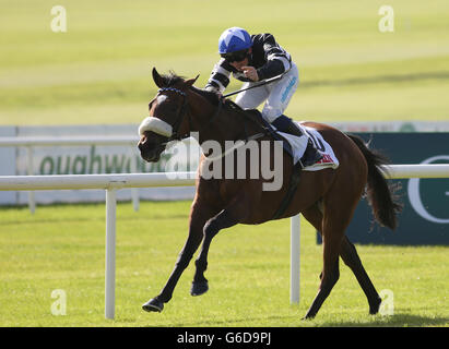 Courses hippiques - GAGNER Irish St Leger/Goffs Vincent O'Brien National Stakes Day - Curragh Racecourse.Le jockey Chris Hayes célèbre après que son mont Volanse de Coeurs a remporté le GAIN Irish St. léger au Curragh Racecourse, comté de Kildare, Irlande. Banque D'Images