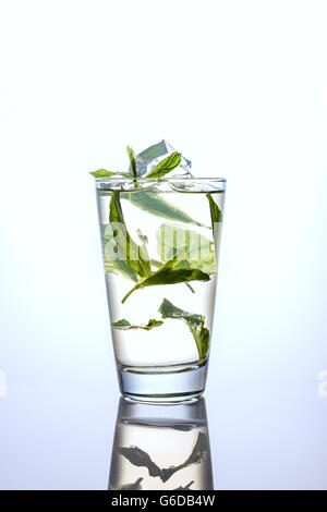 L'eau de glace et la menthe dans un grand verre sur fond blanc avec la réflexion Banque D'Images