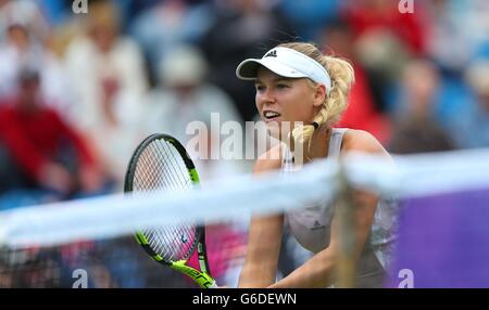 Caroline Wozniacki Samantha Stosur jouant du Danemark de l'Australie au cours de l'International Aegon à Devonshire Park, à Eastbourne. Le 21 juin 2016. James Boardman /  +44 7967 642437 des photos au téléobjectif Banque D'Images