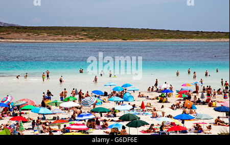 Personnes et des parasols sur la plage de Stintino Sardaigne Italie Banque D'Images