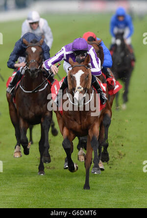 Les courses de chevaux - Ladbrokes Ladbrokes - Festival St Léger St Leger Jour - Hippodrome de Doncaster Banque D'Images