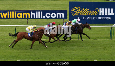 Les courses de chevaux - 2013 William Hill Ayr Gold Cup Festival - Jour 1 - Ayr Racecourse Banque D'Images