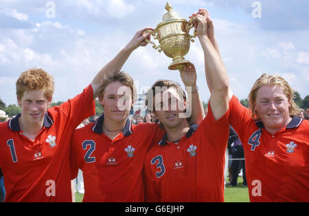 Le Prince Harry - Golden Jubilee Cup - Windsor Great Park, Berkshire Banque D'Images