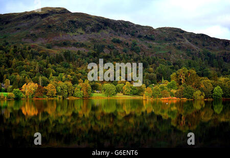 Couleur d'automne dans les arbres près du lac Grasmere dans le district du lac, Cumbria. Banque D'Images