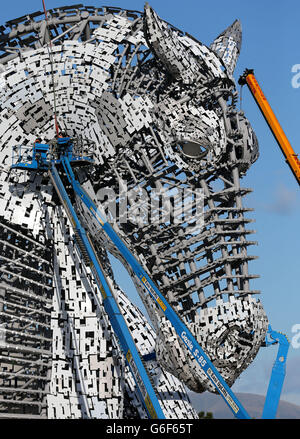 Workman continue de travailler sur les Kelpies à l'Helix, à l'entrée est du Forth et du canal Clyde à Falkirk, alors qu'il approche de l'achèvement. Les œuvres d'art en forme de têtes de cheval mesurent 30 mètres et ont été conçues par le sculpteur écossais Andy Scott. APPUYEZ SUR ASSOCIATION photo. Date de la photo: Mercredi 9 octobre 2013. Les Kelpies sont un monument à l'héritage de chevaux dans le centre de l'Écosse. Le crédit photo devrait se lire comme suit : Andrew Milligan/PA Wire PRESS ASSOCIATION photo. Date de la photo: Mercredi 9 octobre 2013. Le crédit photo devrait se lire comme suit : Andrew Milligan/PA Wire. Banque D'Images