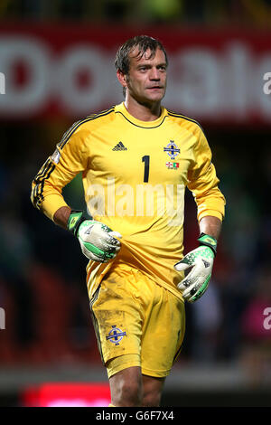 Football - qualification de la coupe du monde 2014 - Europe - Groupe F - Irlande du Nord / Portugal - Windsor Park. Roy Carroll, gardien de but d'Irlande du Nord Banque D'Images