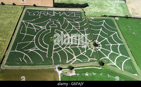 Le labyrinthe complexe de maïs de 30 acres à Heslington, près de York. Le labyrinthe, en forme de toile d'araignée, a été créé par l'agriculteur Tom Pearcy et sera ouvert au public avant d'être récolté en septembre et nourri à son bétail. Banque D'Images