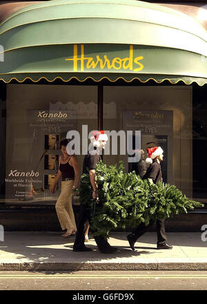 Deux employés de Harrod portent un arbre de Noël après l'entrée du magasin, alors que les températures continuent de monter en flèche dans la capitale. Dévoilant son département mondial de Noël, la boutique a consacré 10,000 m2 à la saison de la bonne volonté, en la stockant avec une sélection de cadeaux et de décorations - 131 jours de shopping avant les festivités. Banque D'Images