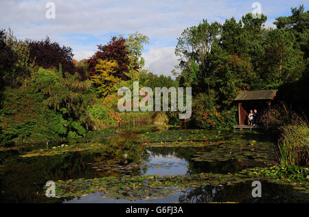 Couleurs d'automne exposées aux jardins Burnby Hall, Pocklington, East Yorkshire. Banque D'Images