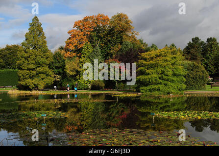 Couleurs d'automne exposées aux jardins Burnby Hall, Pocklington, East Yorkshire. Banque D'Images