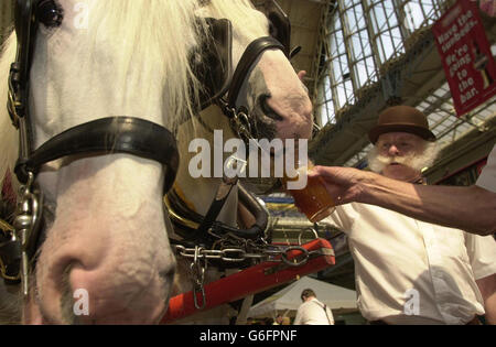 Great British Beer Festival Banque D'Images