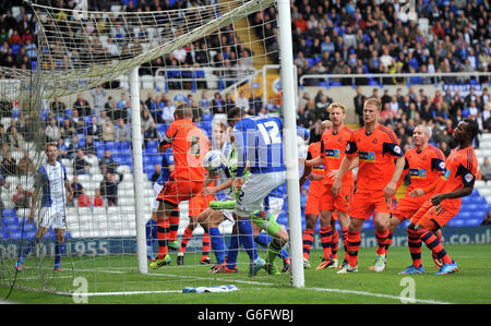 Football - Championnat Sky Bet - Birmingham City / Bolton Wanderers - St Andrew's.Nikola Zigic (au centre) de Birmingham marque le seul but de la ville Banque D'Images