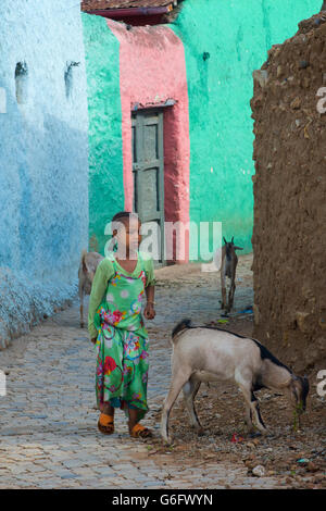 Écolière éthiopienne dans le vieux quartier de Harar avec les chèvres. L'Ethiopie Banque D'Images