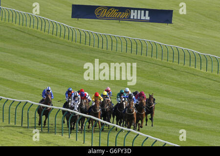 Jockeys et chevaux concourent dans le Collège al Maksery Nurtoum pendant le deuxième jour du Festival de la coupe d'or William Hill Ayr 2013 à l'hippodrome d'Ayr. Banque D'Images