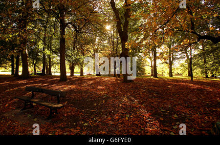 Le soleil projette des ombres sur les arbres de Sefton Park, Liverpool. Banque D'Images