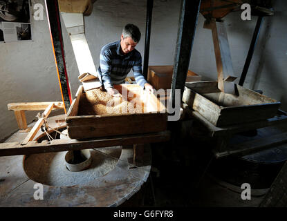 Miller James Barlow au Moulin à vent de Leverton à Leverton, Lincolnshire, qui a été sauvé et retiré du registre anglais du patrimoine à risque, en raison de la sauvetage le moulin célèbre 200 ans de fraisage continu à l'énergie éolienne. Banque D'Images