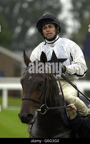 Xpressions, qui a remporté le prix de vente de Gael Hyundai en 2.15, la première course de Western Meeting à Ayr Racecourse, en Écosse. Banque D'Images