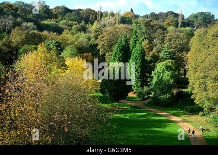 Couleurs d'automne à Jesmond Dene, Newcastle upon Tyne. Banque D'Images