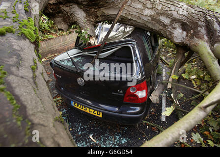 Une voiture est écrasée sous un arbre tombé en raison de la tempête qui touche certaines parties du Royaume-Uni, à Hornsey, dans le nord de Londres. Banque D'Images