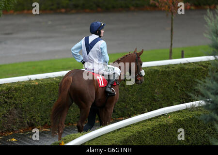 Courses hippiques - William Hill Jump Sunday - Hippodrome de Kempton Park.Un point de vue général comme Ron Waverly et Jockey Joshua Moore sont perlés avant le début de la colline William - Télécharger l'App Juvenile obstacle Banque D'Images