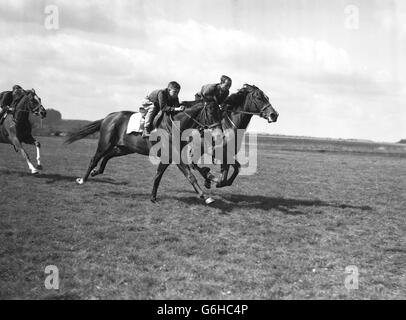 Les courses de chevaux - Lester Piggott - Lambourn, Berkshire Banque D'Images